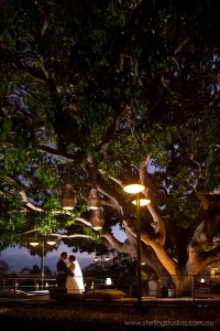 sunset under the big mango tree hillstone st lucia wedding